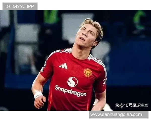 霍伊伦的传奇人生与音乐旅程探索与启示